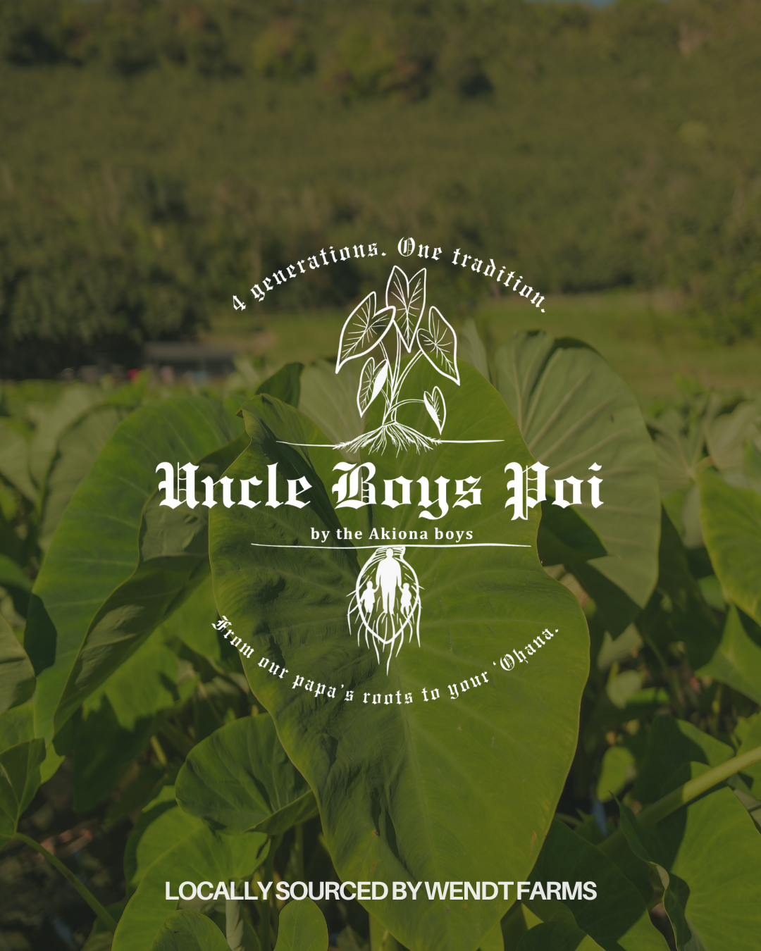 Uncle Boy's 11/26 Pick Up